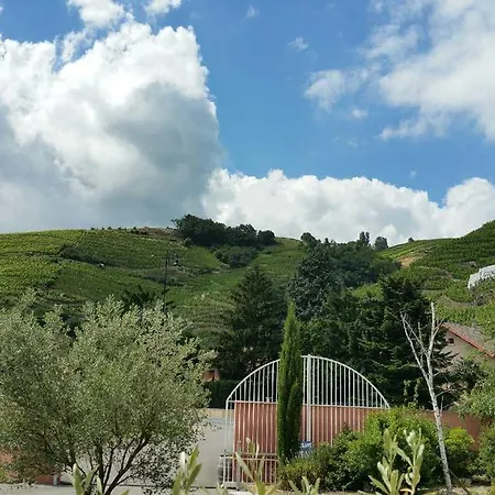 Le Domaine Des Vignes Lyon Sud Vienne