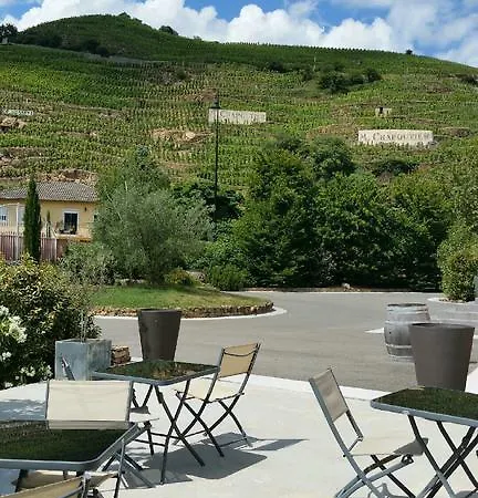Le Domaine Des Vignes Lyon Sud Vienne Hotel