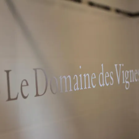 Le Domaine Des Vignes Lyon Sud Vienne 3*