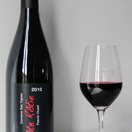 Le Domaine Des Vignes Lyon Sud Vienne 3* Ampuis