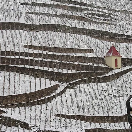 Le Domaine Des Vignes Lyon Sud Vienne Ampuis