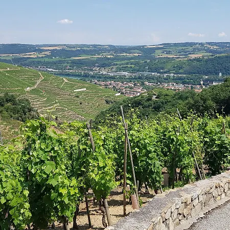 Hotel Le Domaine Des Vignes Lyon Sud Vienne