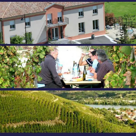 Le Domaine Des Vignes Lyon Sud Vienne 酒店 3*