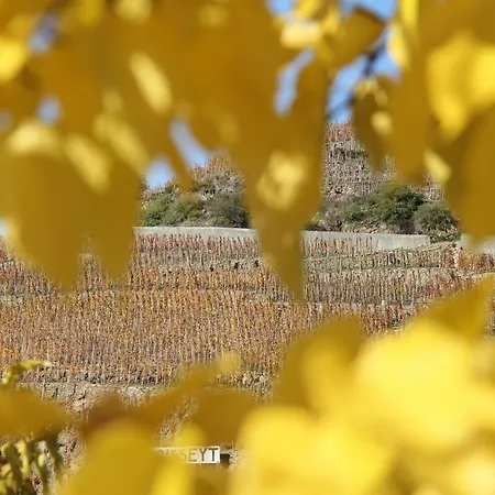 酒店 Le Domaine Des Vignes Lyon Sud Vienne 3*