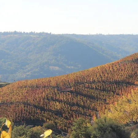 Le Domaine Des Vignes Lyon Sud Vienne Hotel Ampuis