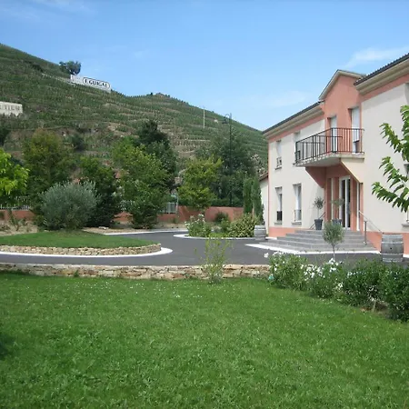 Le Domaine Des Vignes Lyon Sud Vienne Hotel